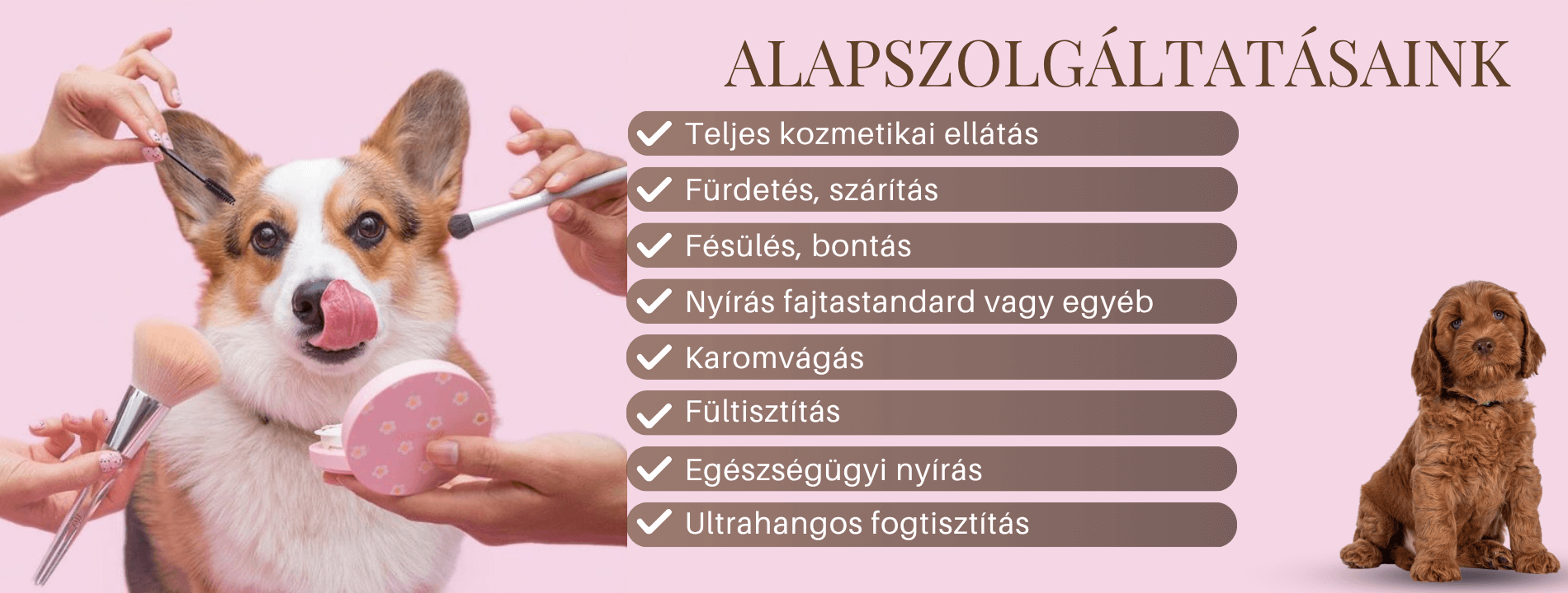 pomazkutyakozmetika